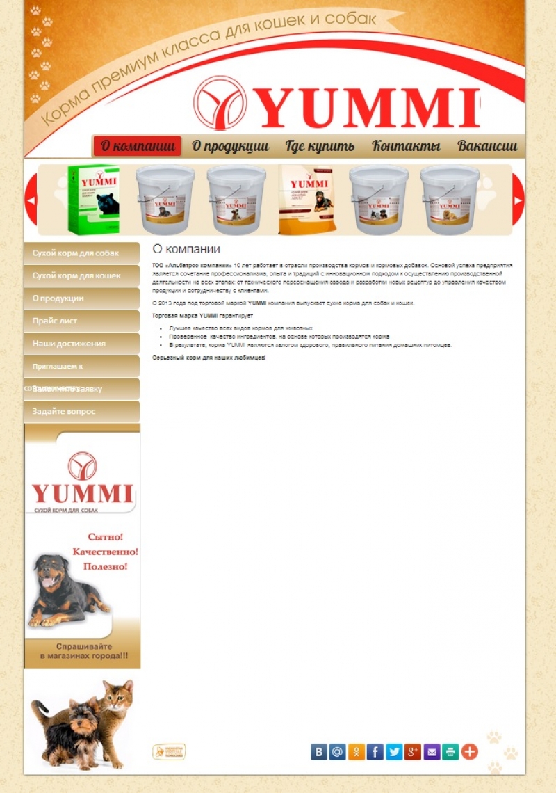Создание сайта для «Альбатрос компании» - http://www.yummi.kz